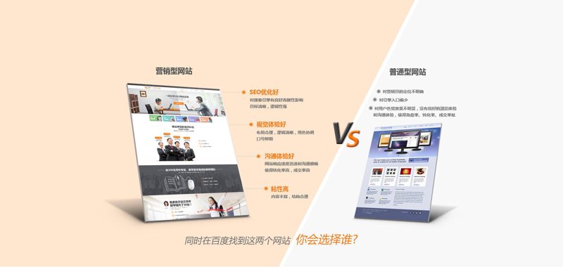 软件开发